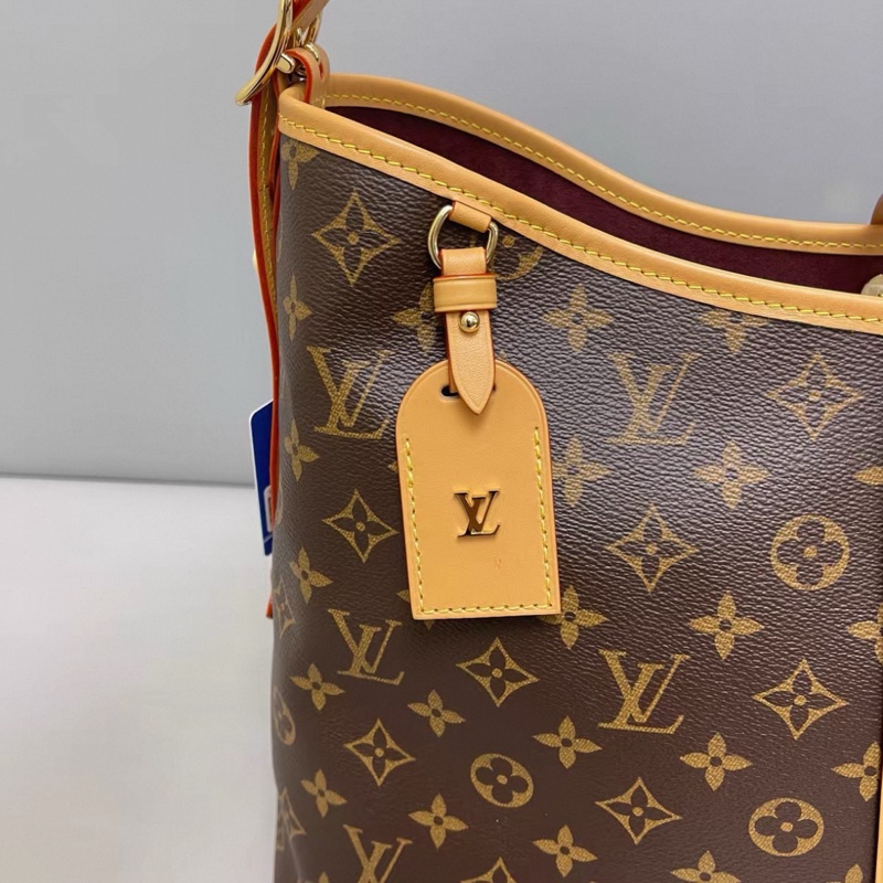 LV路易威登 Carryall中號老花子母包 芯片-4