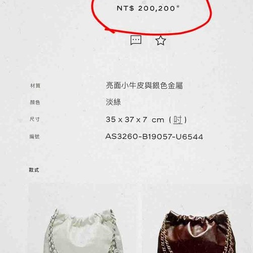 Chanel 近乎全新的白色小款22 Bag-13