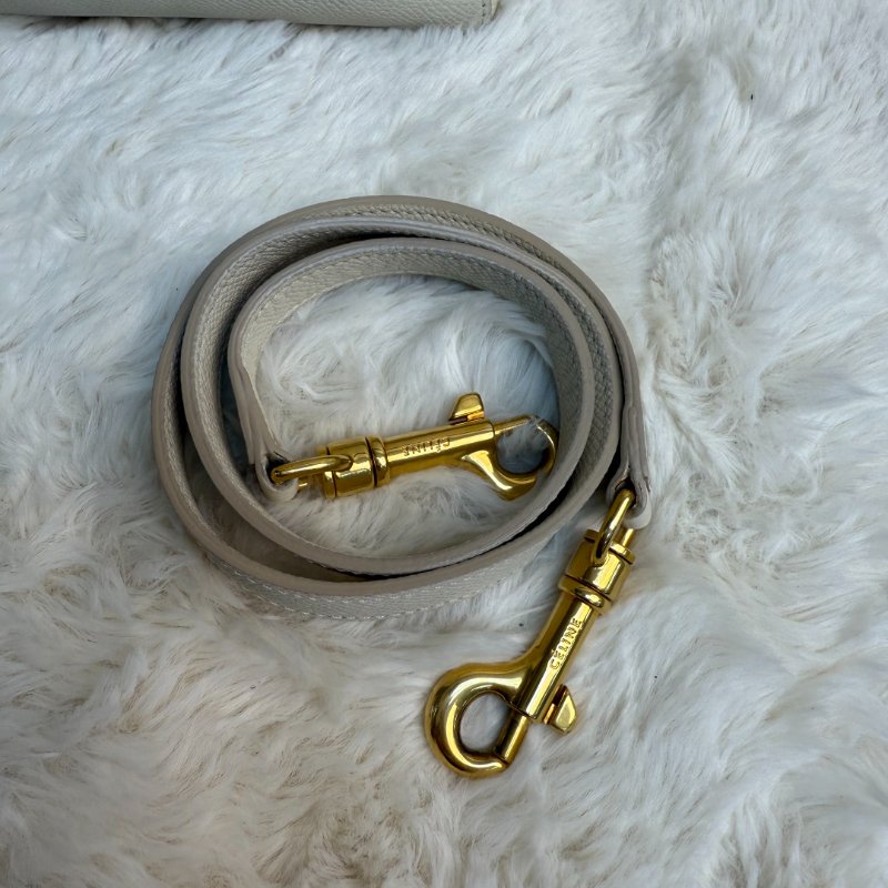 Celine Belt Micro 白色鯰魚包-4