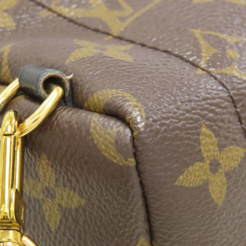 路易威登 M44873 Palm Springs 迷你雙肩包/日用包，PVC材質，女士款-18