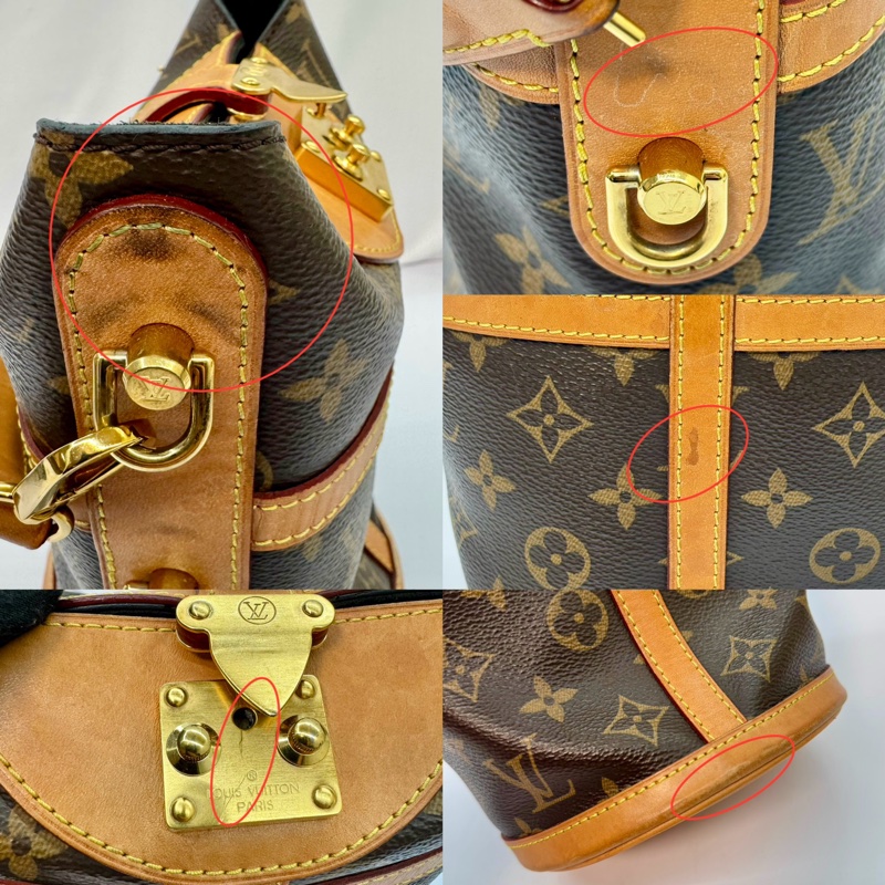 LOUIS VUITTON 路易威登 老花兩用水桶包 M43587-9