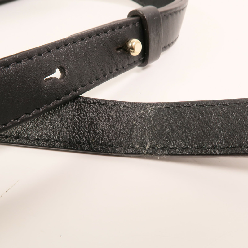 Chloe 麂皮/牛皮皮革Faye Backpack背包-13