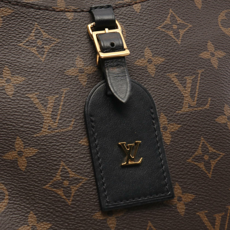 棕色 原花帆布 Odeon NM PM 肩背包【LOUIS VUITTON LV 路易威登】 M45353-9