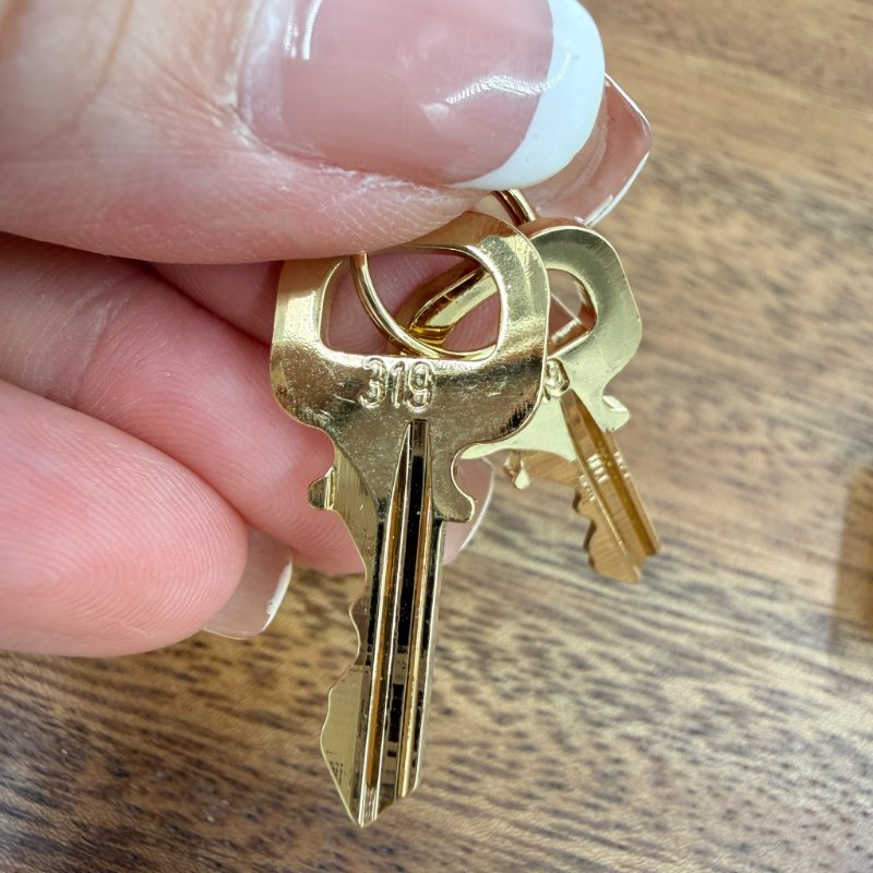 Louis Vuitton -原花Speedy Bandoulière 手提肩側背包 ╻20cm-28