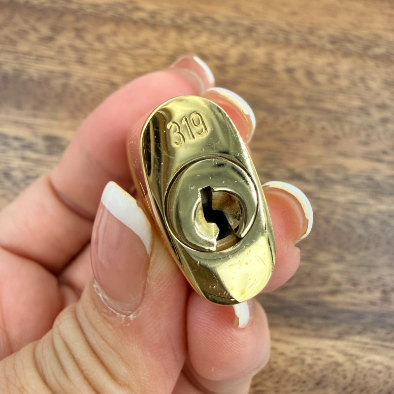 Louis Vuitton -原花Speedy Bandoulière 手提肩側背包 ╻20cm-29