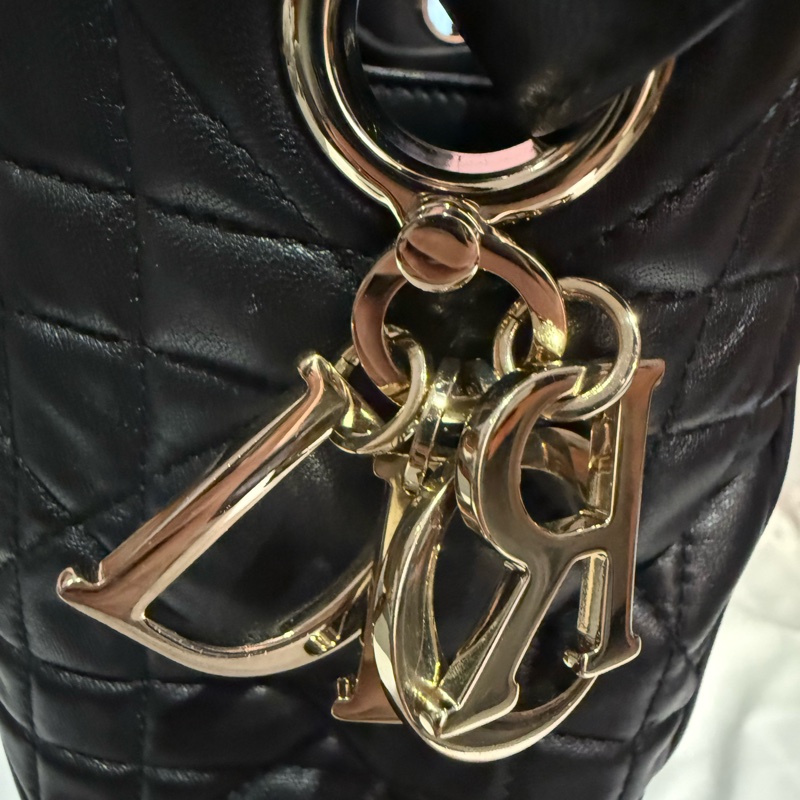 Dior D-motion 中號-2