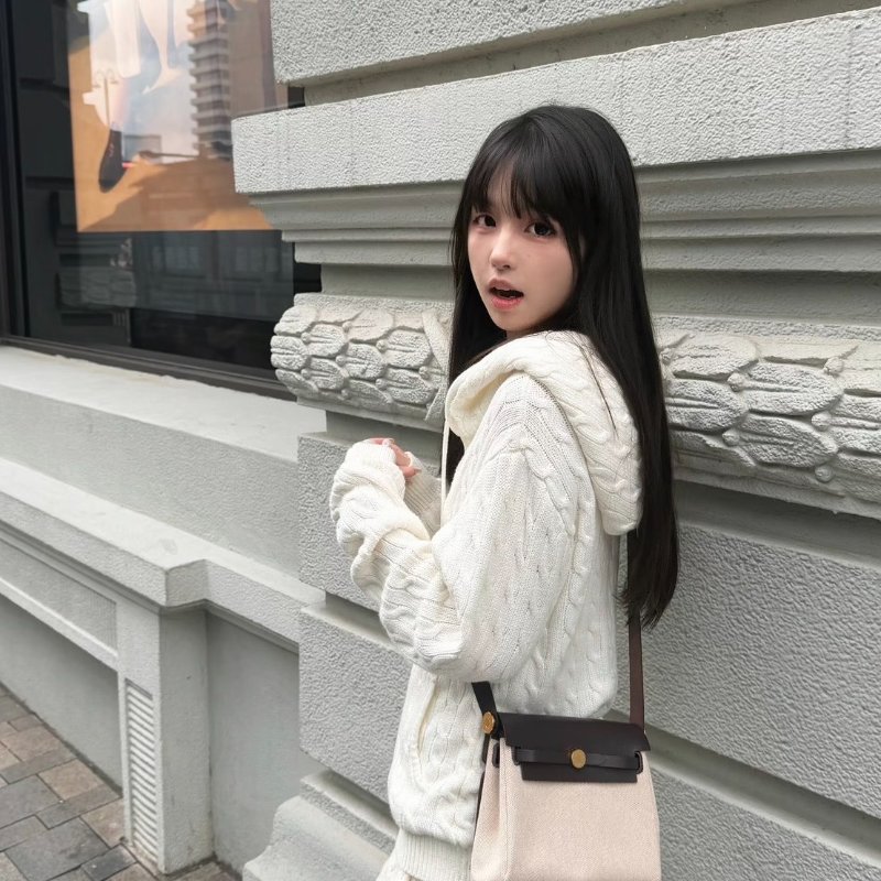 HERMES Herbag zip 20 - 烏木金 K-13