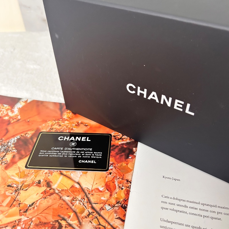 Chanel WOC 絎縫皮斜背包肩背包 19開-5