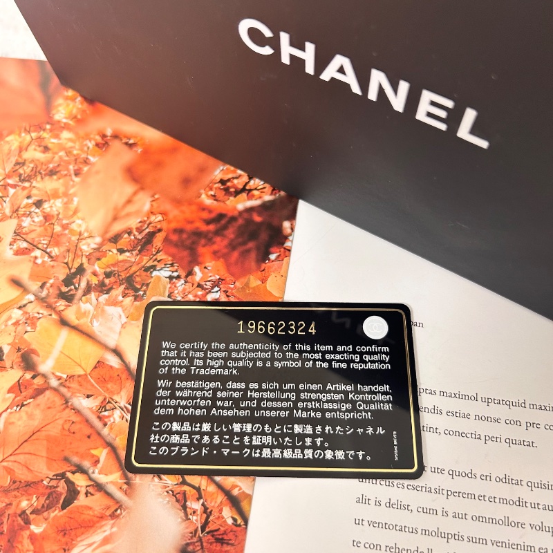 Chanel WOC 絎縫皮斜背包肩背包 19開-28