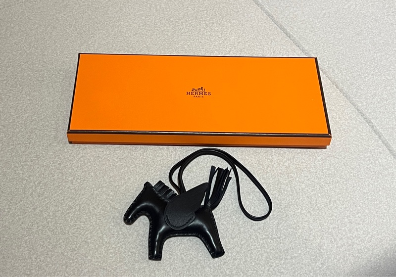 Hermes 黑色小飛馬-3
