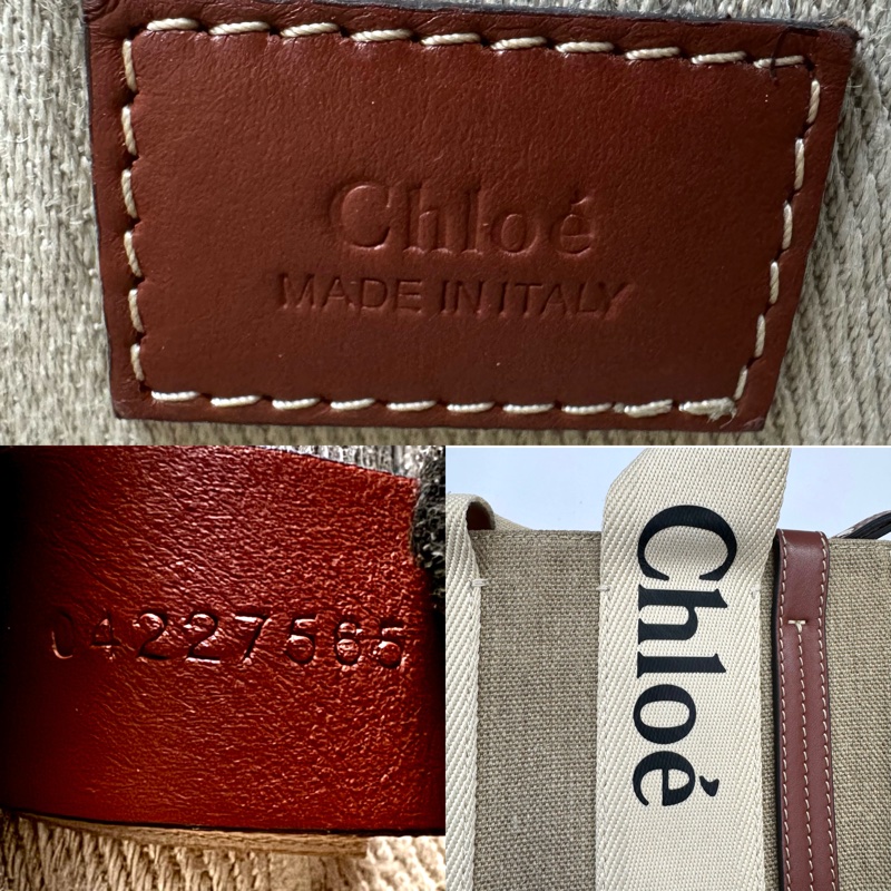 蔻依 Chloé  Woody 小款兩用包-7