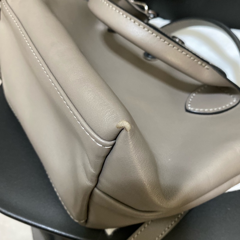 longchamp 牛皮mini餃子包-16