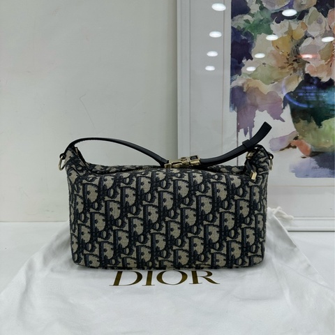 Dior/ 迪奧 Travel Nomad老花刺繡便當包 24年編碼 底長約22cm