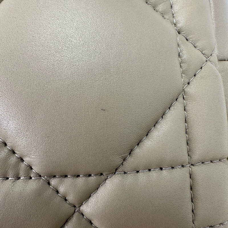 DIOR Travel Nomad Medium 奶茶色金扣飯盒包-11