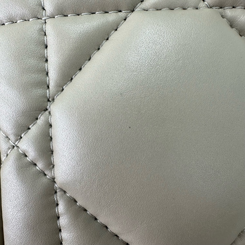 DIOR Travel Nomad Medium 奶茶色金扣飯盒包-12