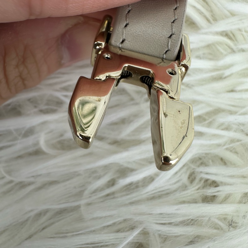 DIOR Travel Nomad Medium 奶茶色金扣飯盒包-15