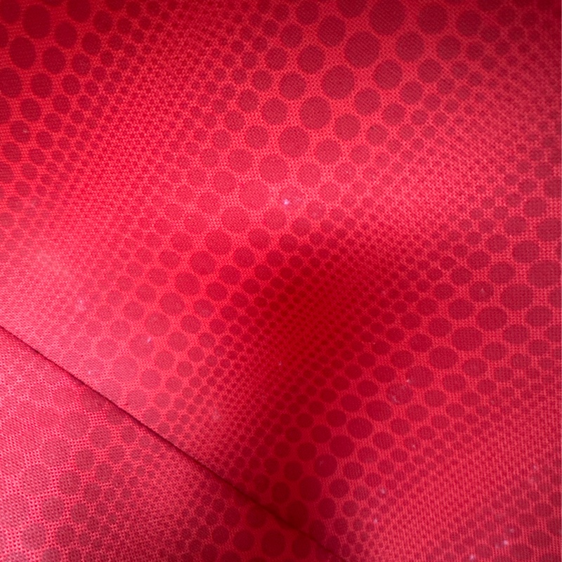 LV 限量款✨草間彌生聯名款NeverFull MM Size-20