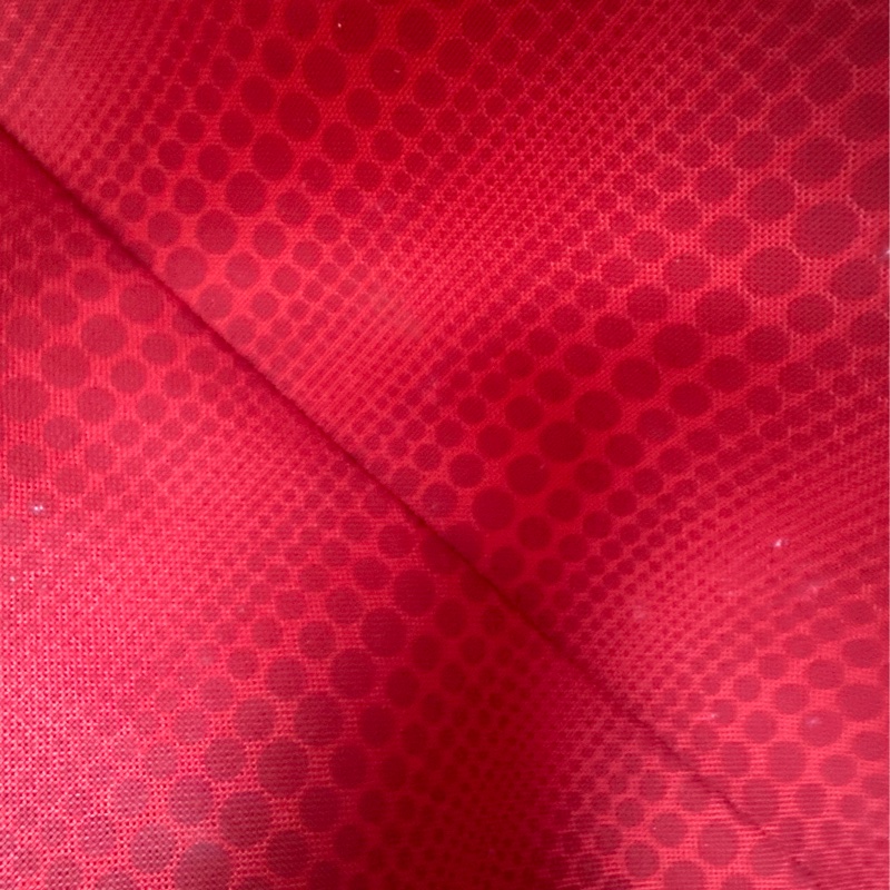 LV 限量款✨草間彌生聯名款NeverFull MM Size-21