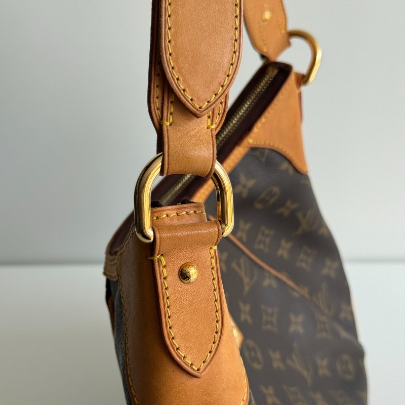 98新✨ Louis Vuitton LV 路易威登 Thames bag 南瓜包🎃-12