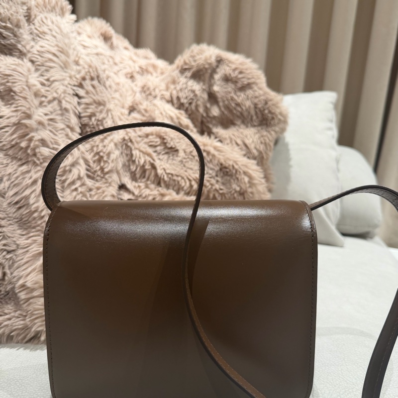 Celine Teen Box 經典駝色-1