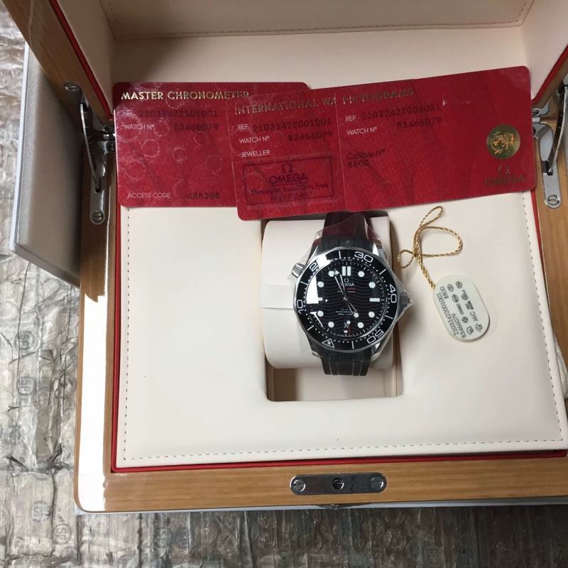 Omega Seamaster Diver 300 手錶-1