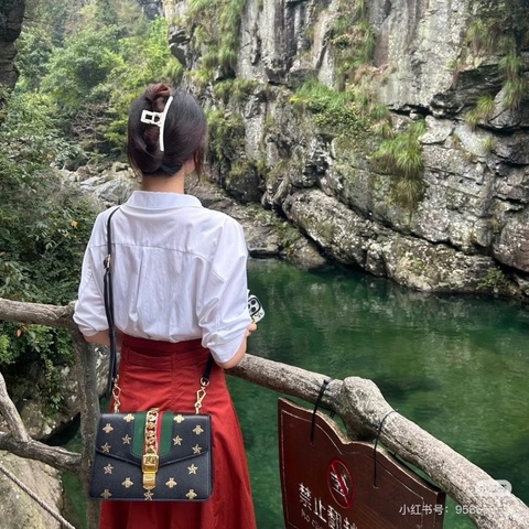 GUCCI塞爾維亞黑金燙金小蜜蜂肩背斜背包26*17*8 98新配件塵袋