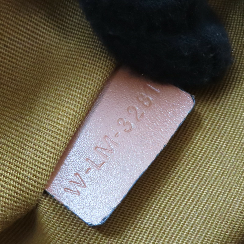 白色Triomphe 帆布 棕色 牛皮 AVA 肩背包 金扣【CELINE 賽琳】 193952BZJ.01BC-9