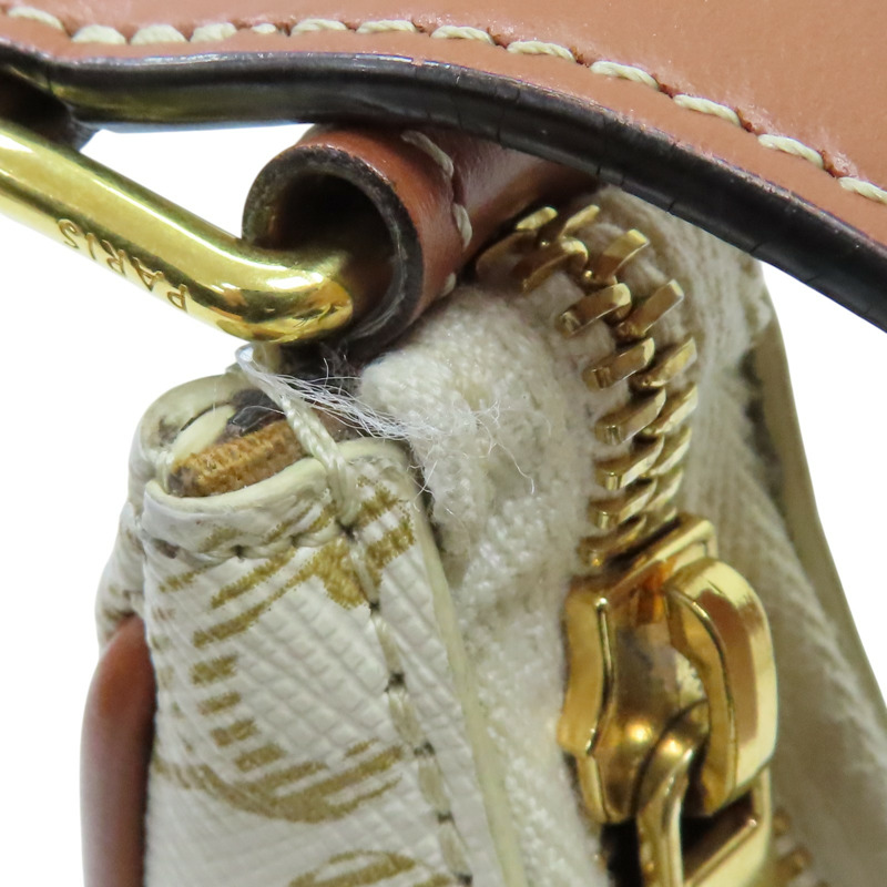 白色Triomphe 帆布 棕色 牛皮 AVA 肩背包 金扣【CELINE 賽琳】 193952BZJ.01BC-16