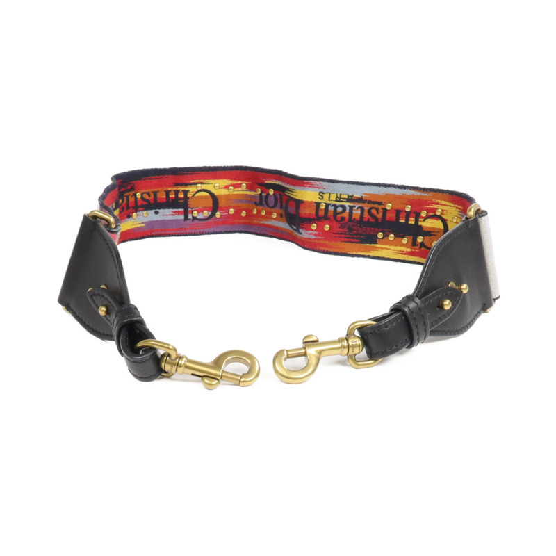 Dior 帆布Rainbow J'Adior Strap金扣肩背帶-2