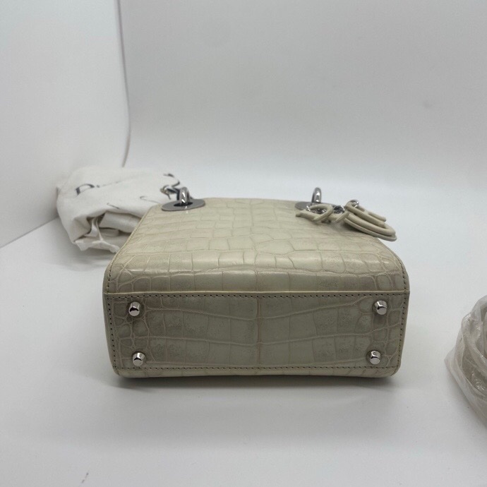 98新Dior喜馬拉雅戴妃包，2019購入-3