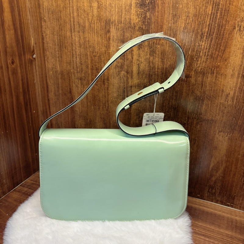 Celine 亮面薄荷綠手提包-1