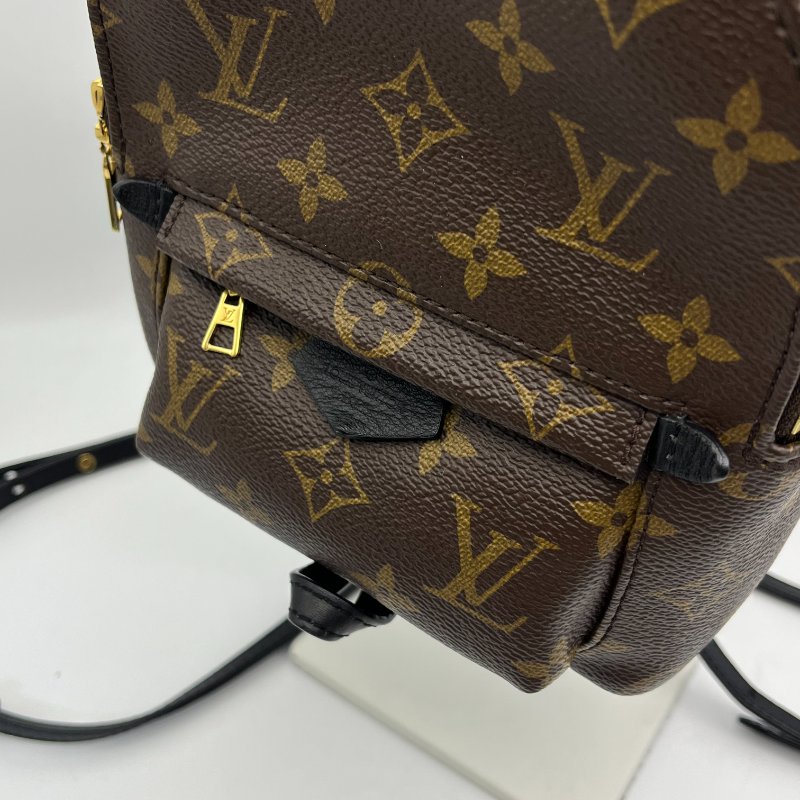 🏷Louis vuitton後背包-9