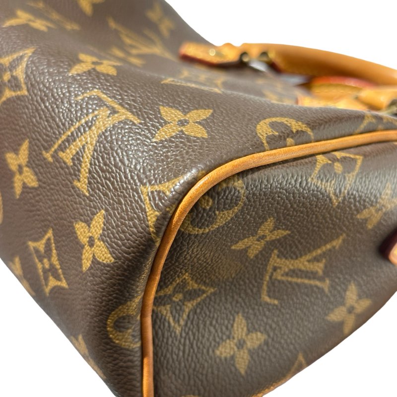 Used LOUIS VUITTON Monogram Speedy Nano Cross Body Bag Brown GHW-14