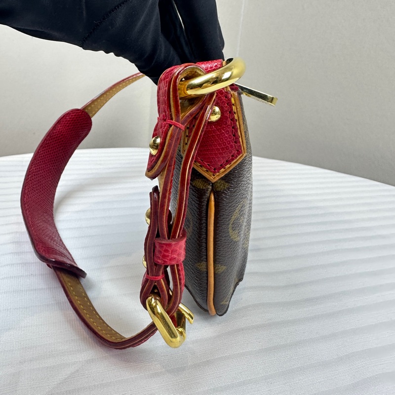 路易威登 /Louis Vuitton LV村上隆聯名 金扣棕色櫻桃圖案蜥蜴皮拼色單肩包26x2x12cm-5