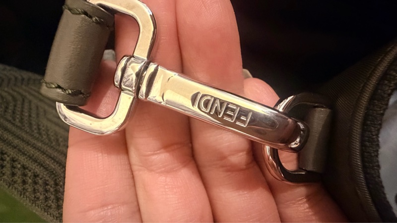 Fendi Sunshine Medium 玳瑁手把 手提肩背2用托特包-6