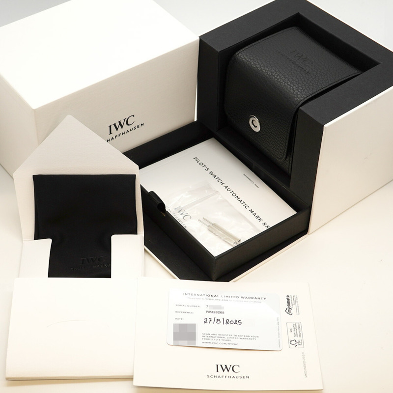 IWC 沙夫豪森飛行員 IW328208 銀色錶盤男士手錶-8