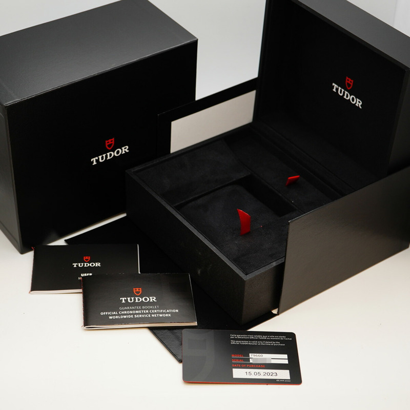 帝舵碧灣39 79660 銀色錶盤男士腕錶-9