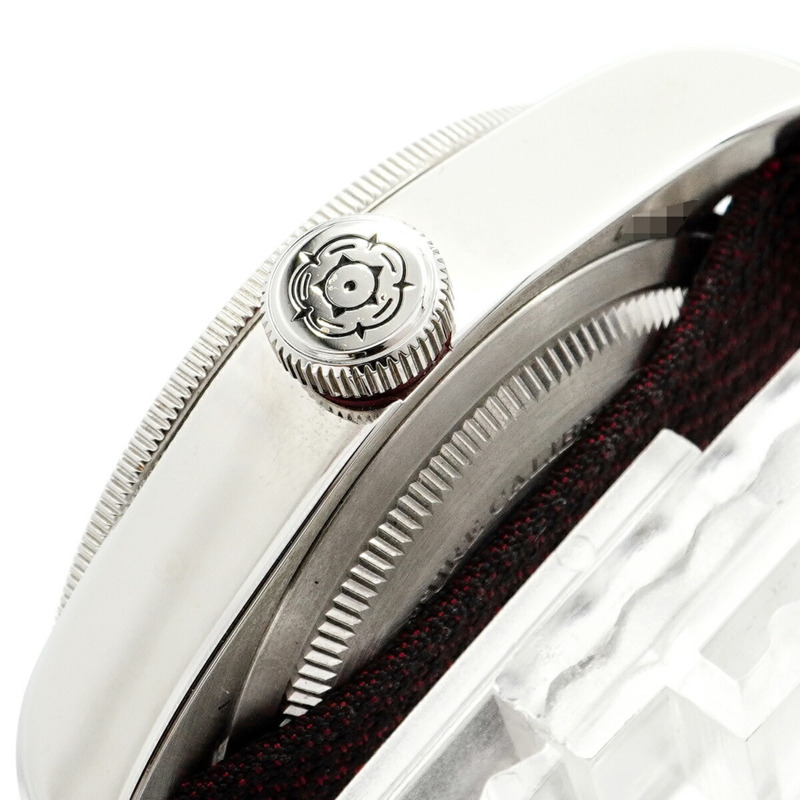 帝舵碧灣系列 79230R 錶盤男士腕錶-7