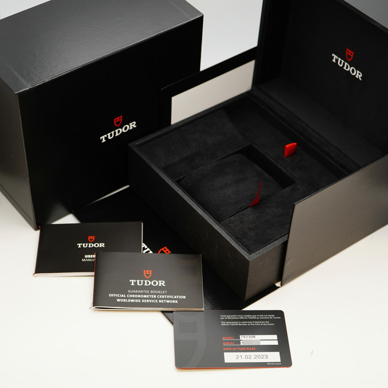 帝舵碧灣系列 79230R 錶盤男士腕錶-8