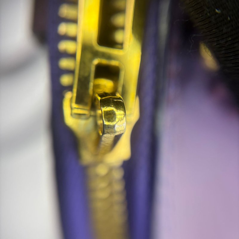 Louis Vuitton Alma BB 貝殼包-18