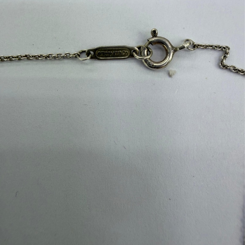 這款是 Tiffany & Co. 蒂芙尼1837 系列環形純銀吊墜項-1