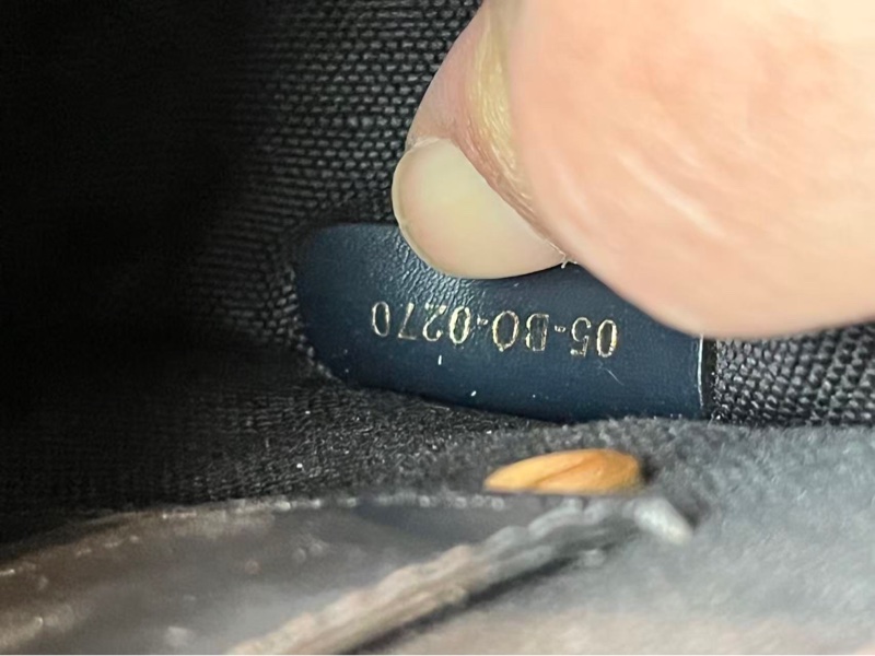 DIOR迪奧 馬鞍包 DIOR迪奧 Bobby Oblique 刺繡經典老花滿印-8