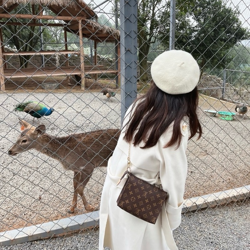 LV M47544梳洗包19 鏈條包 🏅-33