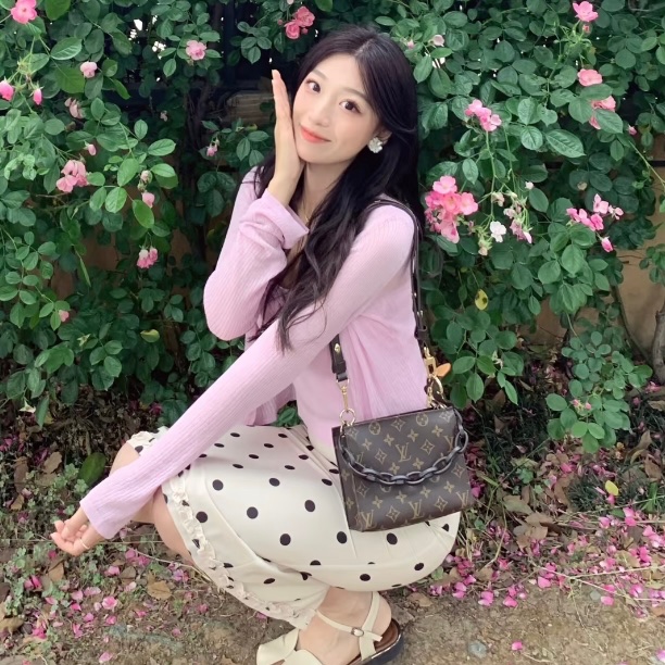 LV M47544梳洗包19 鏈條包 🏅-44