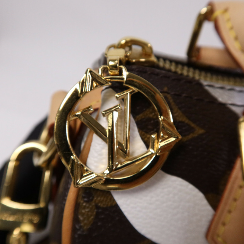 LOUIS VUITTON 塗層帆布Speedy BB金扣手挽肩背兩用袋-6