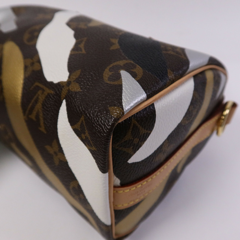 LOUIS VUITTON 塗層帆布Speedy BB金扣手挽肩背兩用袋-10