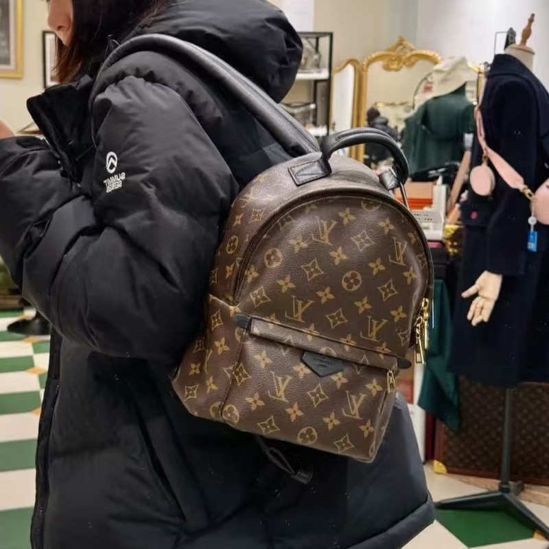 全網最低價😍💯Lv路易威登老花backpack後背包小書包🎒-0