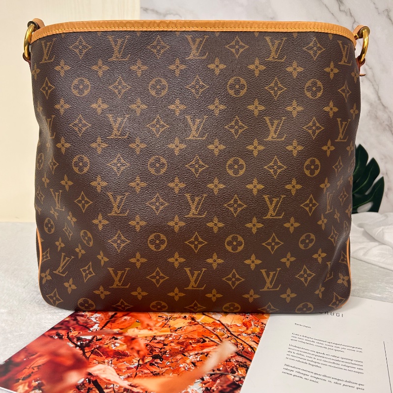 LV Delighful PM 小號老花肩背包-8