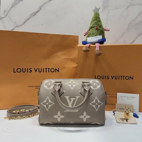 LV 大象灰壓紋Speedy 20