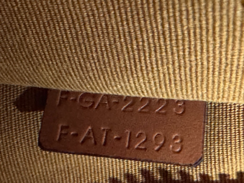 CELINE AVA 經典老花-18